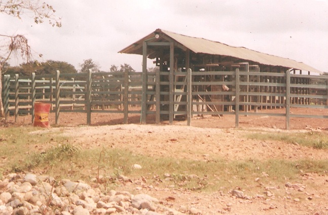 corral madera plástica calceta manga maderplast brete para ganado corrales embudos calcetas embudo calceta bretes brete apretadero instalaciones mangas wpc plastimadera madera plástico 000 corral madera plástica calceta manga maderplast corral madera plástica calceta manga maderplast brete para ganado corrales embudos calcetas embudo calceta bretes brete apretadero instalaciones mangas wpc plastimadera madera plástico 000 brete para ganado corrales embudos calcetas embudo calceta bretes brete apretadero instalaciones mangas wpc plastimadera madera plástico 000